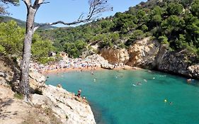 Pola Giverola Camp