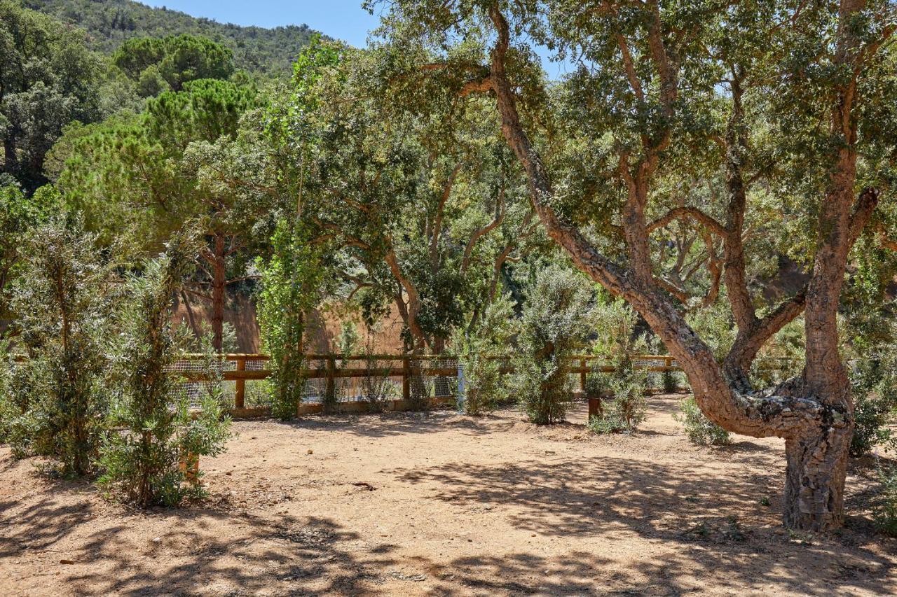 Pola Giverola Camp Tossa de Mar Buitenkant foto